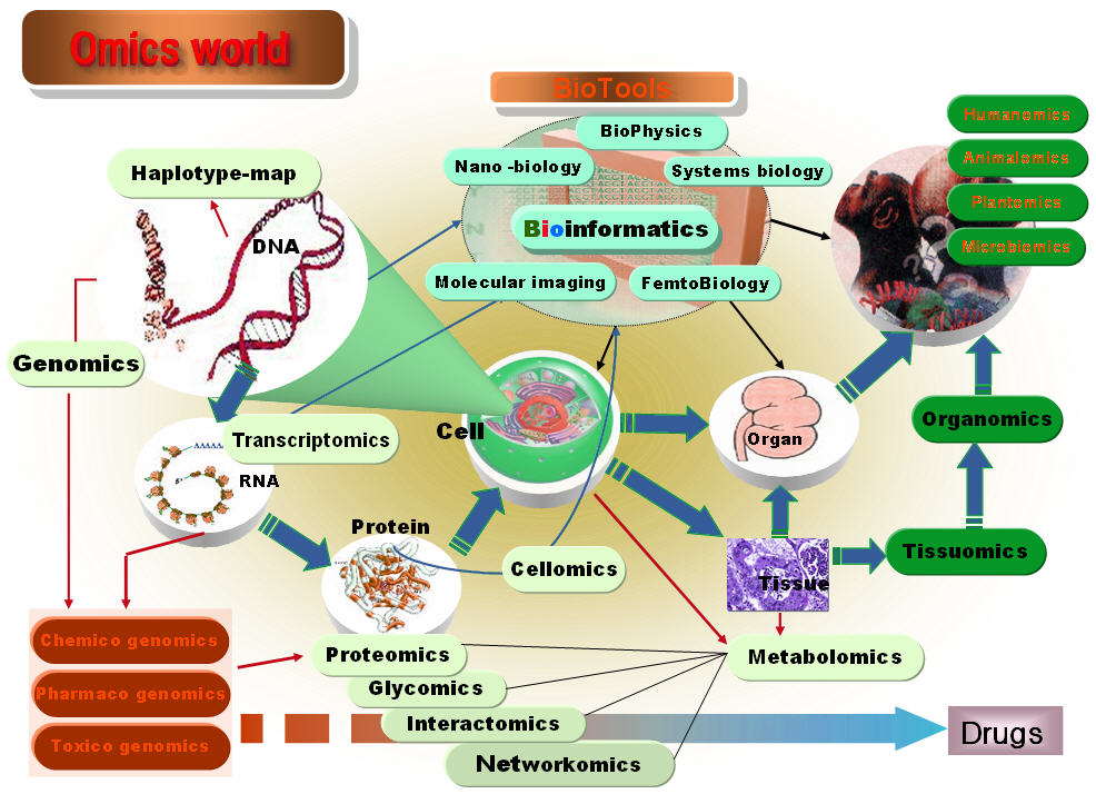 Omics_world_jong_20080710.jpg