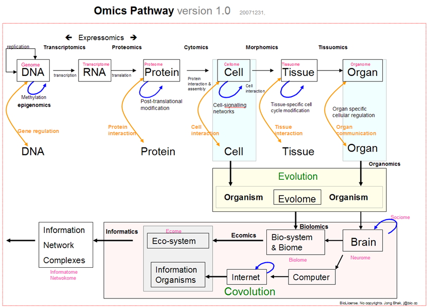 Omics_pathway_jong_bhak_sm_20071231.png